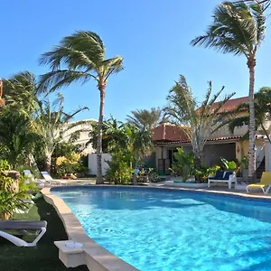 Casalina Garden 2 Blocks To Palm & Kitesurfing School Apartment